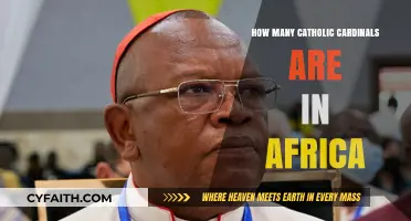 Cardinals in Africa: A Growing Presence