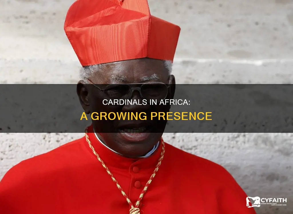 how many catholic cardinals are in africa