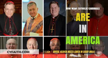 American Catholic Cardinals: A Comprehensive Overview