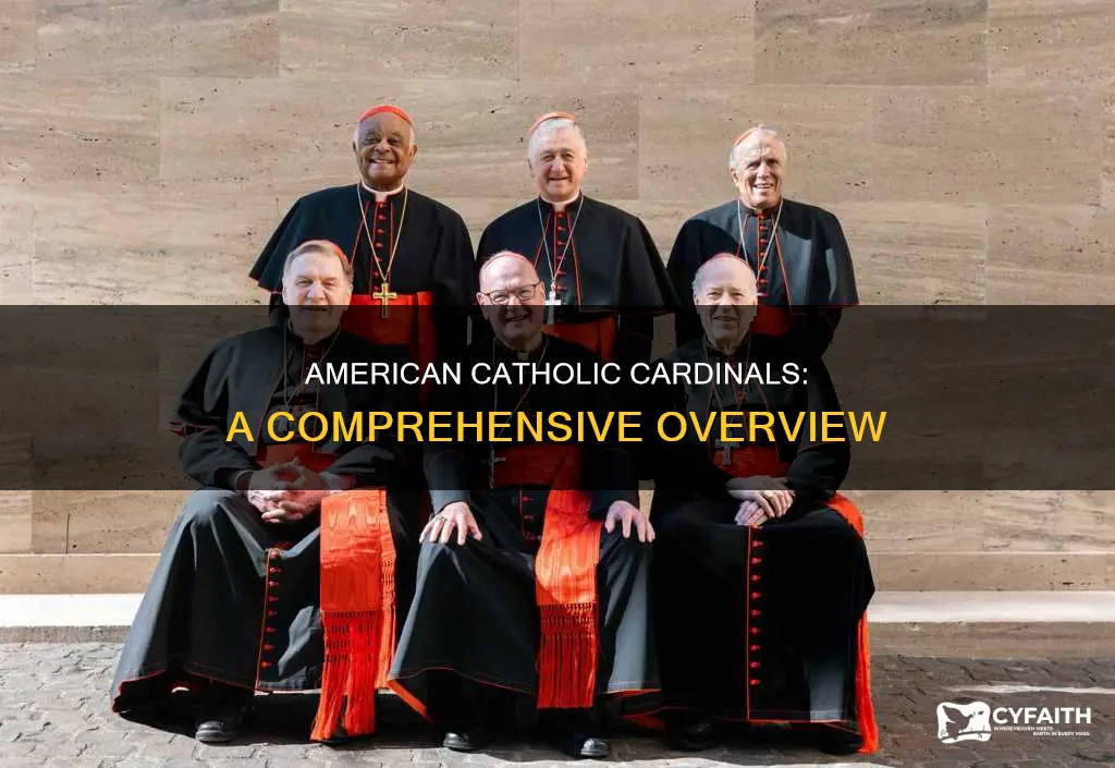 how many catholic cardinals are in america
