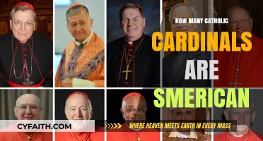 American Cardinals: How Many Hold Influence in the Vatican?