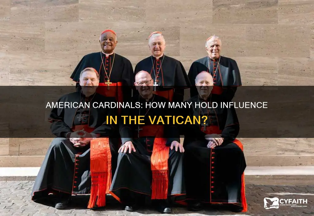how many catholic cardinals are smerican