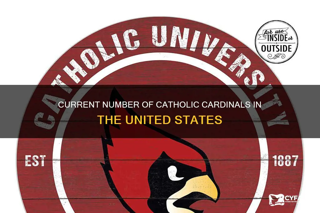 how many catholic cardinals are there currently in the us