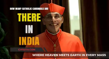 Indian Cardinals: A Small but Mighty Group