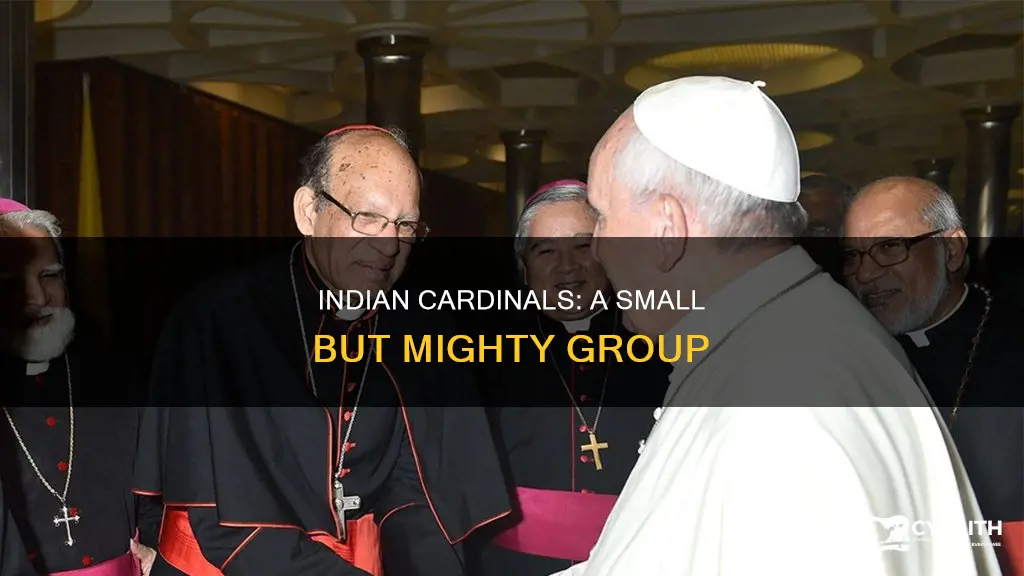 how many catholic cardinals are there in india