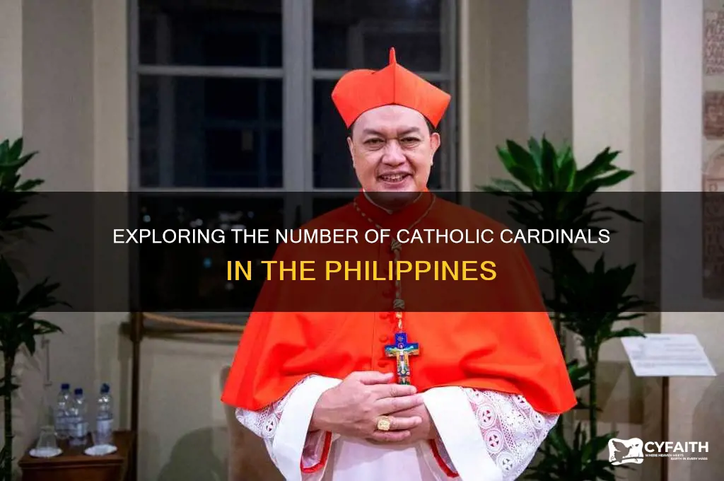 how many catholic cardinals are there in the philippines