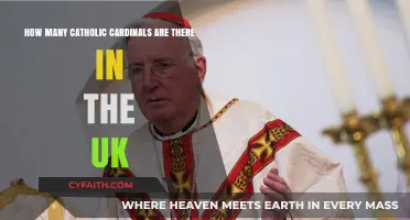 Exploring the Number of Catholic Cardinals in the UK Today