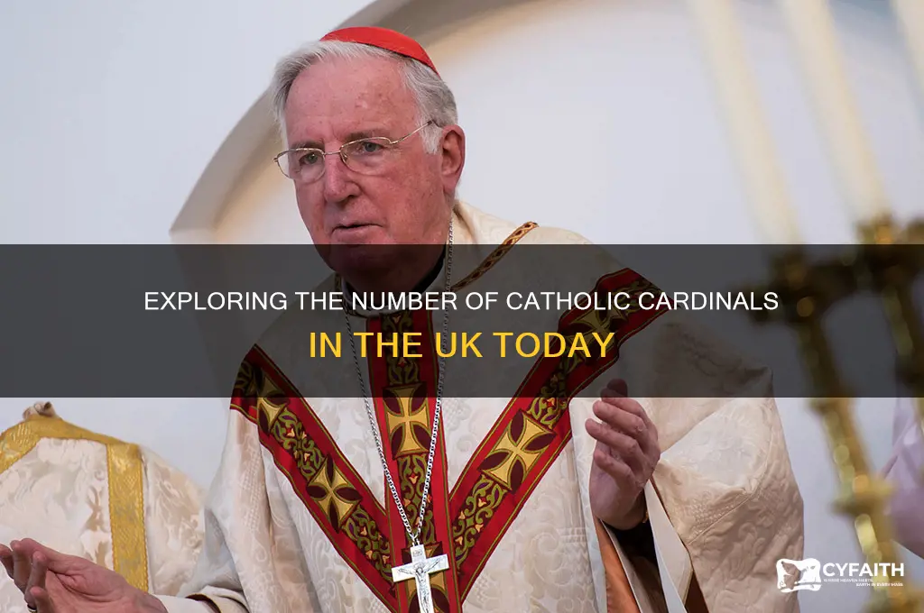 how many catholic cardinals are there in the uk