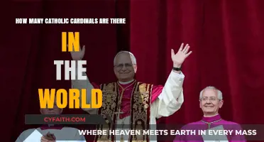 Global Catholic Leadership: Understanding the Number of Cardinals Worldwide