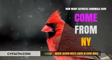 Cardinals of New York: A Catholic Legacy