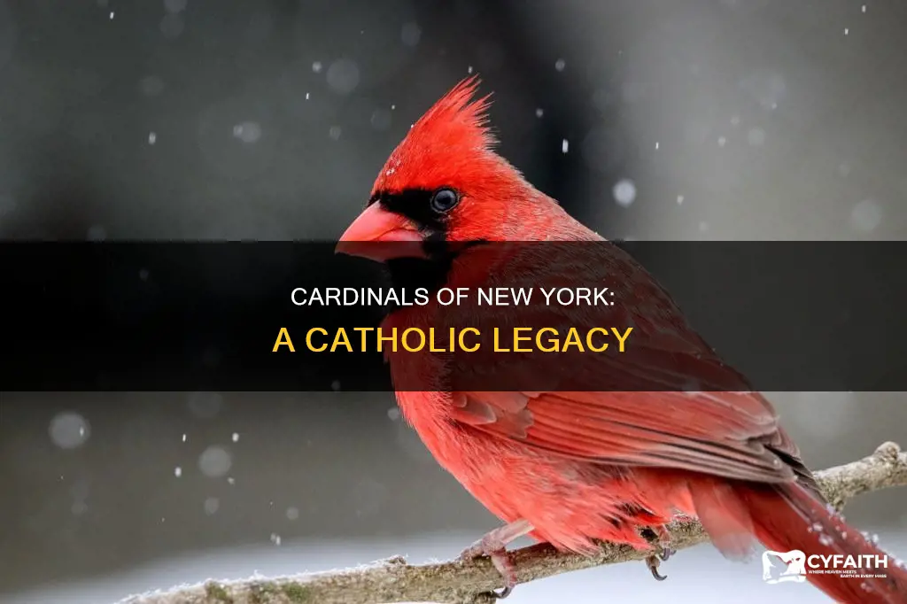 how many catholic cardinals have come from ny