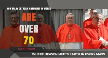 Aging Cardinals: Exploring the Number of Catholics Over 70 Worldwide