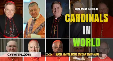 Who Are the Cardinals of the Catholic Church?