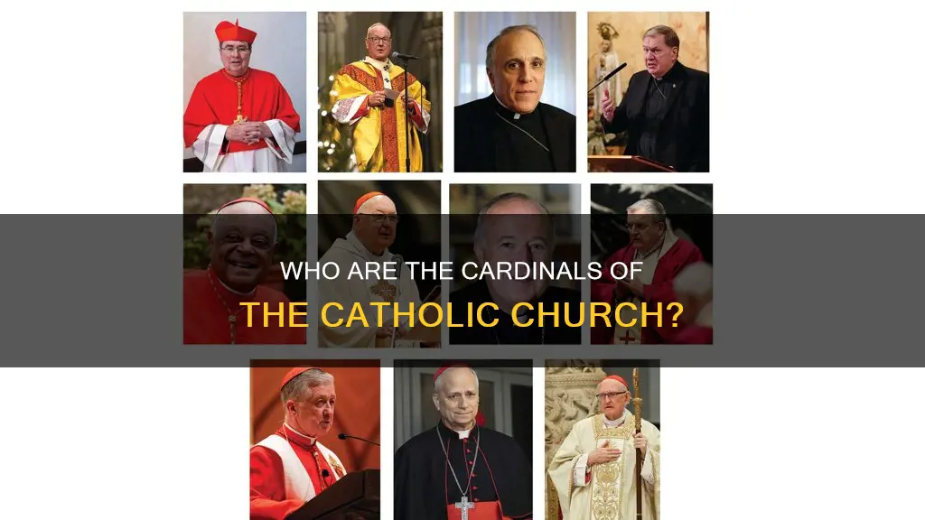 how many catholic cardinals in world