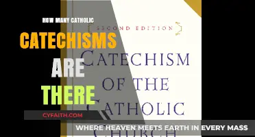 Exploring the Many Catholic Catechisms: How Many Exist?