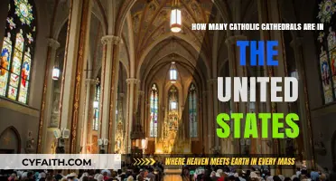 Exploring the Number of Catholic Cathedrals Across the United States