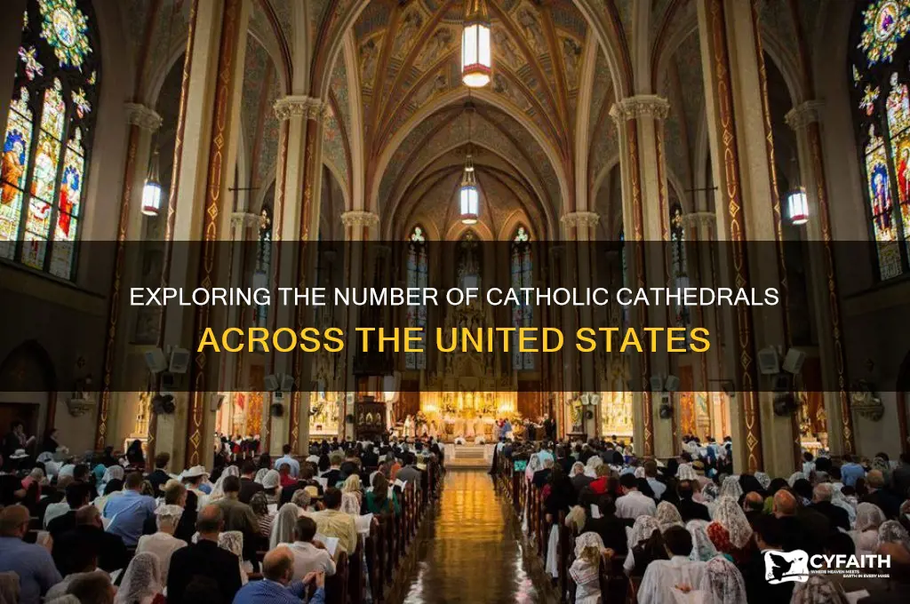 how many catholic cathedrals are in the united states