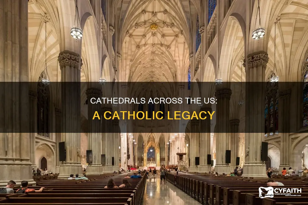 how many catholic cathedrals in the united states