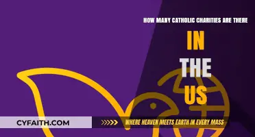 Exploring the Vast Network of Catholic Charities Across the United States
