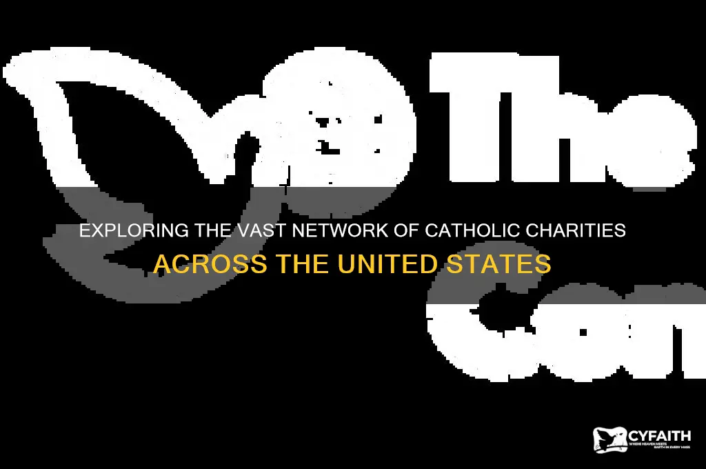 how many catholic charities are there in the us