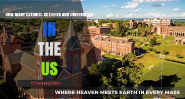 Exploring the Number of Catholic Colleges and Universities in the US