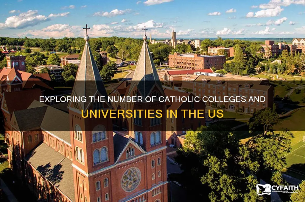 how many catholic colleges and universities in the us