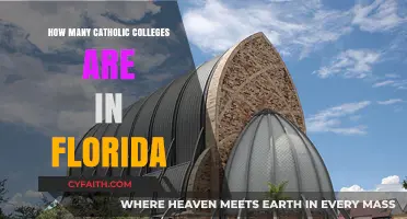Catholic Colleges in Florida: How Many Exist?