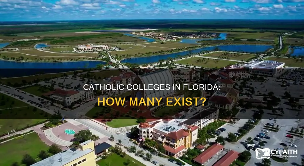 how many catholic colleges are in florida