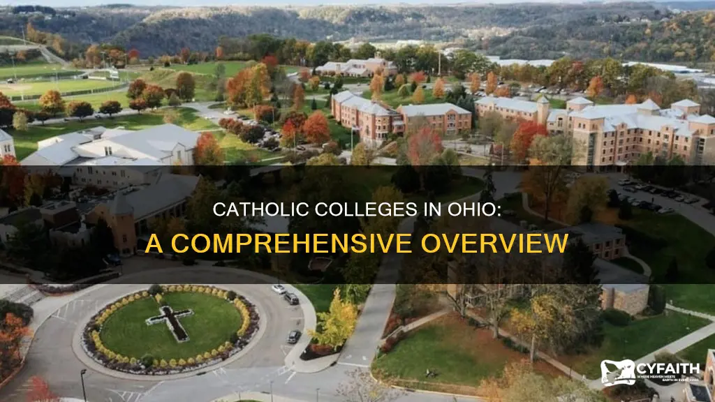 how many catholic colleges are in ohio