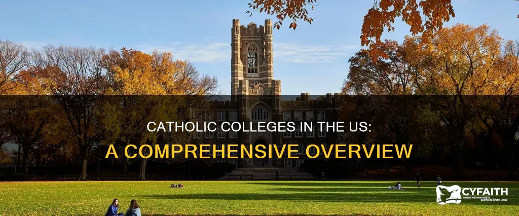 how many catholic colleges are in the us