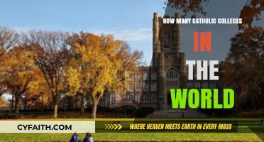 Catholic Colleges: A Global Overview
