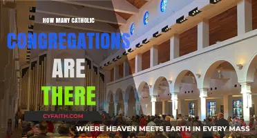 Exploring the Diversity of Catholic Congregations