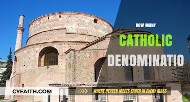 Exploring the Diversity of Catholic Denominations Worldwide