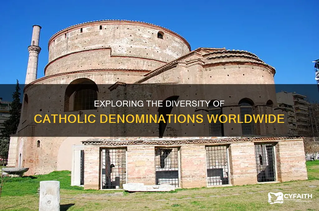 how many catholic denominations