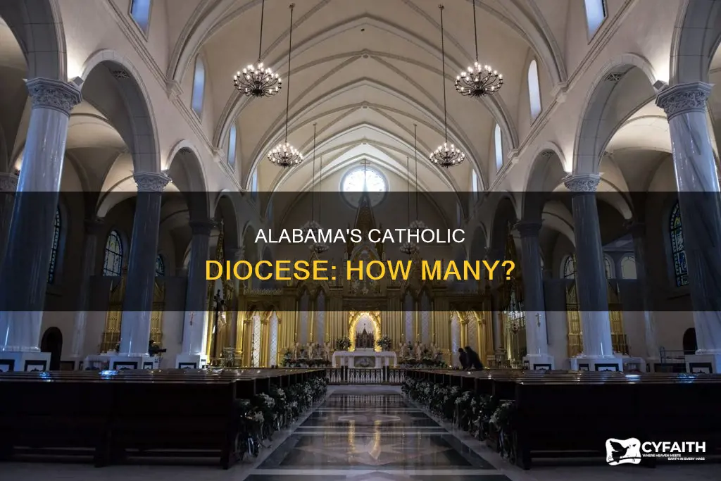 how many catholic diocese are in alabama