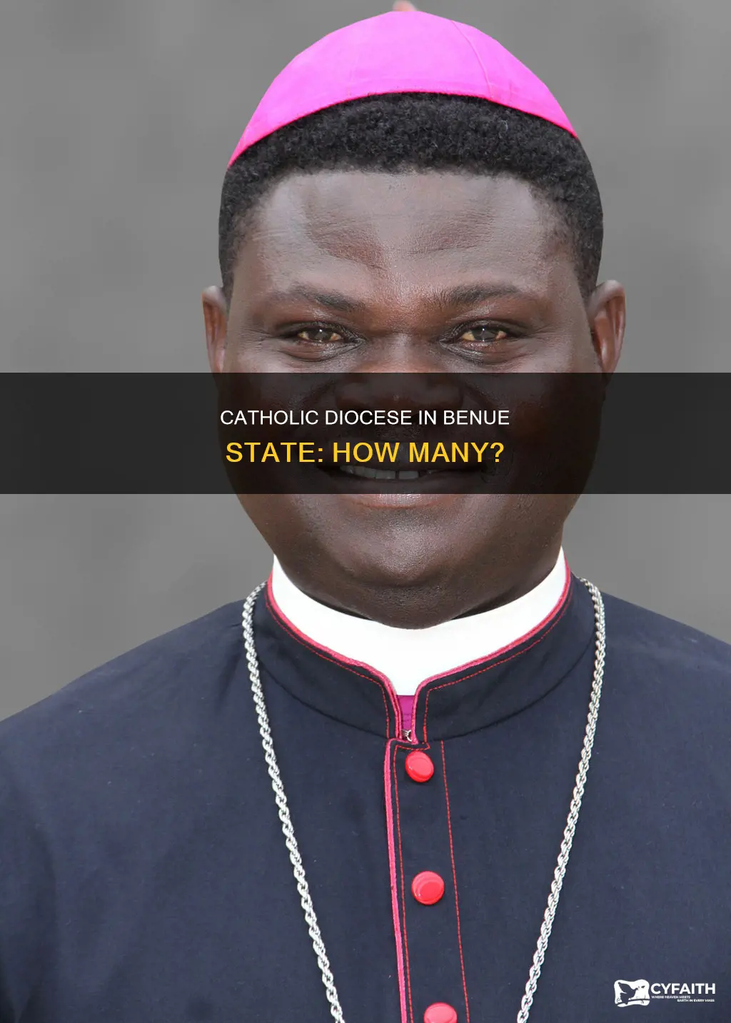 how many catholic diocese are in benue state