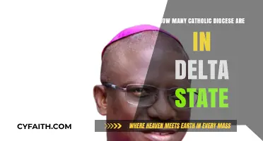 Catholic Diocese in Delta State: How Many?