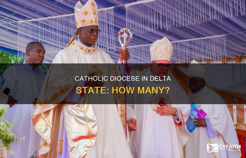 how many catholic diocese are in delta state