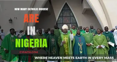 Nigerian Catholic Church: Dioceses Explained
