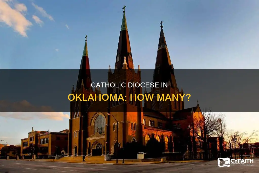 how many catholic diocese are in oklahoma