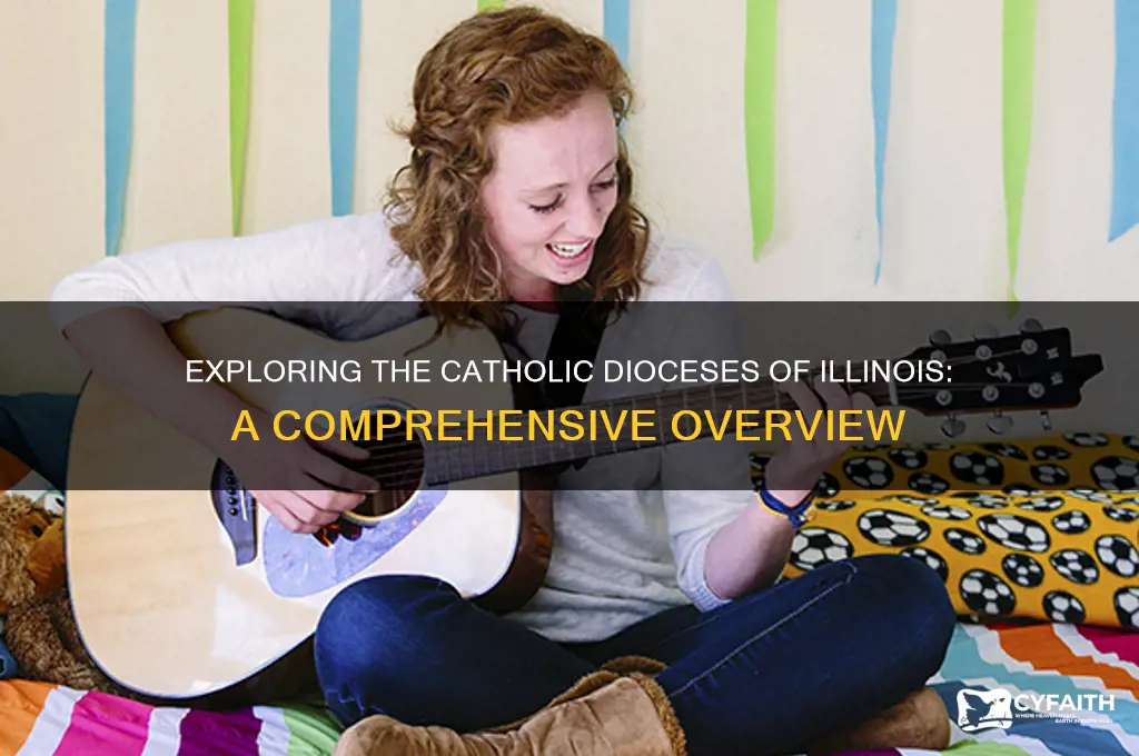 how many catholic diocese are in the state of illinois