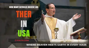 US Catholic Diocese: A Comprehensive Overview