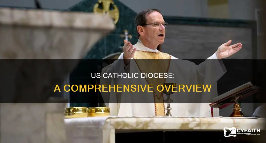 how many catholic diocese are ther in usa