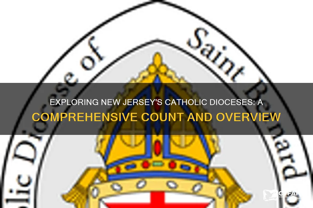 how many catholic diocese are there in new jersey