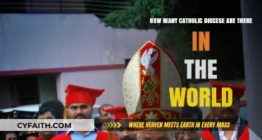 Exploring the Global Reach: Catholic Dioceses Around the World