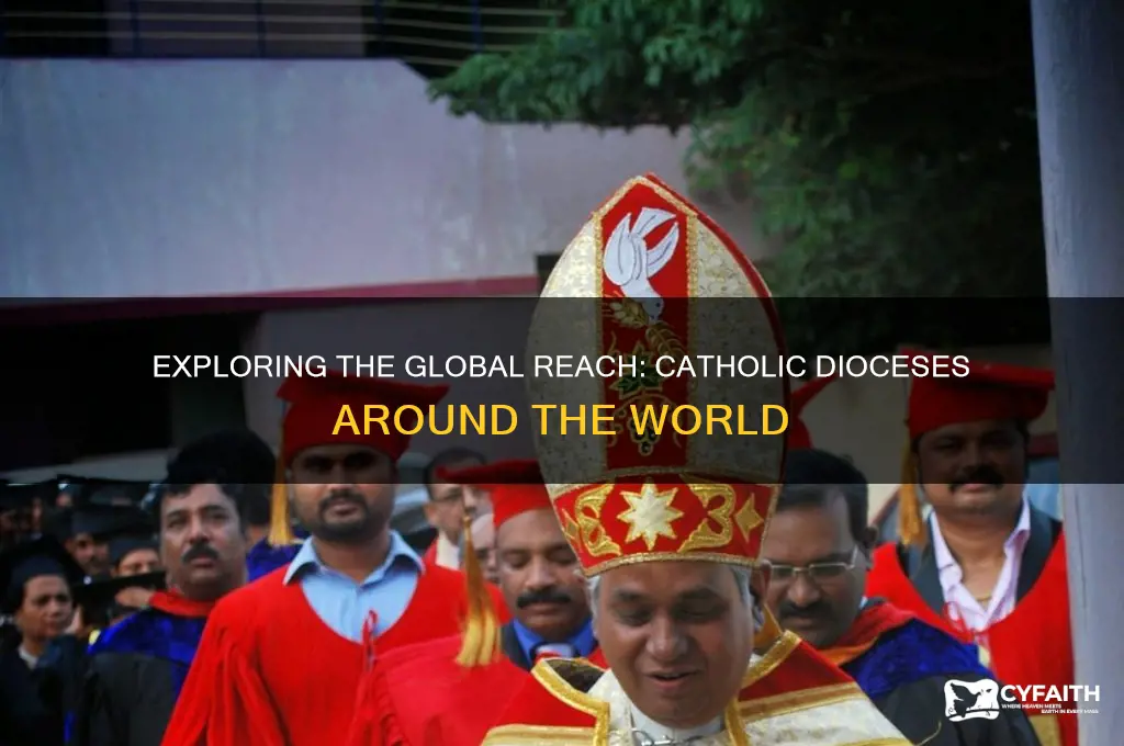 how many catholic diocese are there in the world