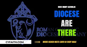 Catholic Church's Global Reach: Dioceses Worldwide
