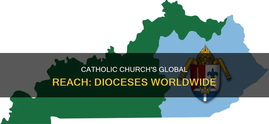 how many catholic diocese are there