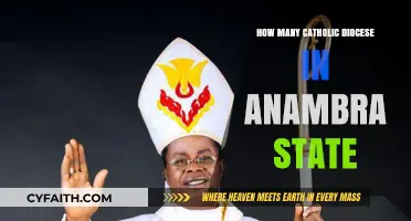 Anambra's Catholic Diocese: How Many Are There?