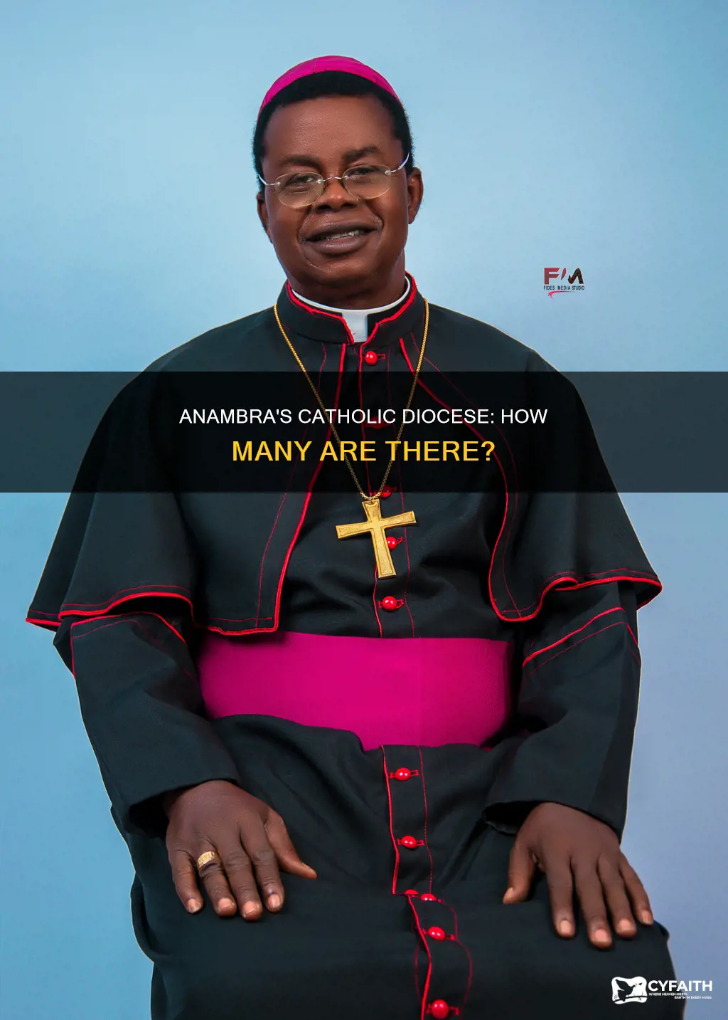 how many catholic diocese in anambra state